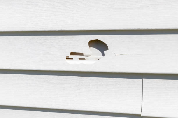 Affordable siding repair and maintenance services in Bonduel, WI