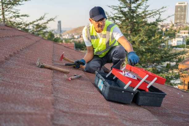 Best Siding Painting and Refinishing  in Bonduel, WI